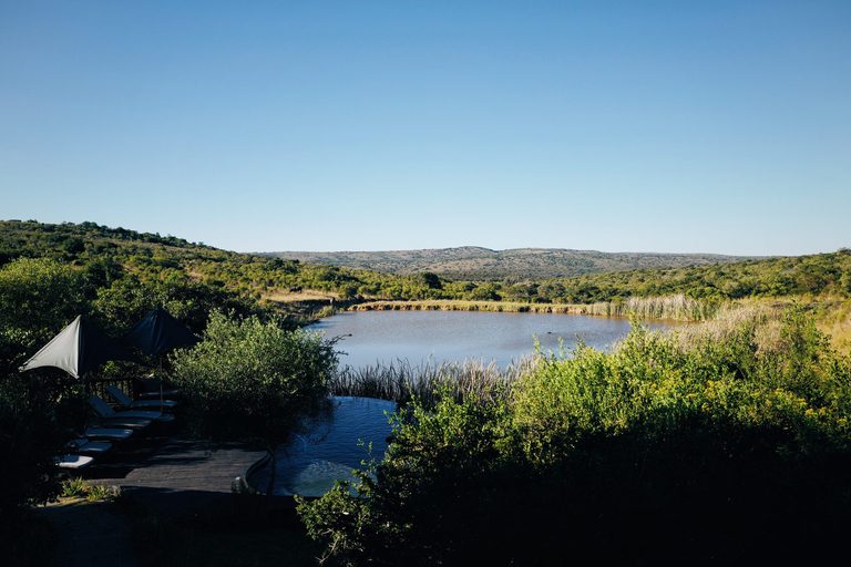 The pool and watering hole at Kichaka, where hippos hang out.