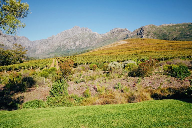 A Winery